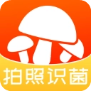 菌窝子官方版
