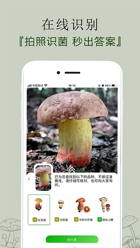 菌窝子官方版图3
