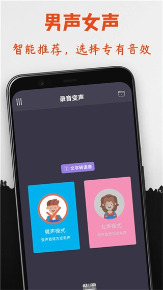 专业变声器(1)