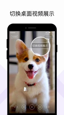火萤组件最新