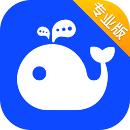 WorkPlus SE专业版app