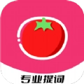 红番茄直装版