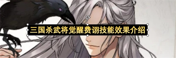 关于三国杀武将费诩觉醒技能效果的详细介绍