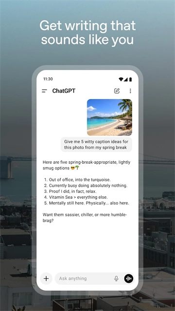 CHATGPT软件手机最新版图1
