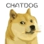 ChatDog智能AI聊天2026手机免费版