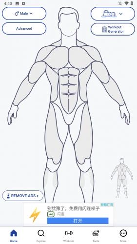 musclewiki安卓直装版图1