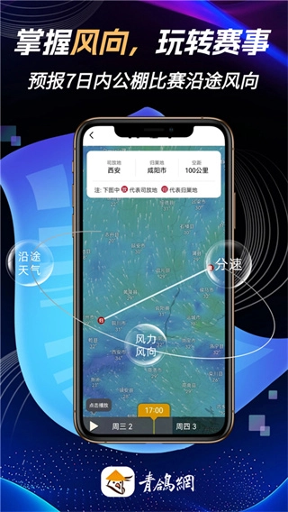 青鸽网安卓直装版图5