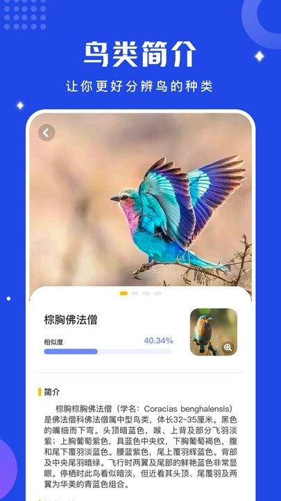 鸟语语言翻译器官方最新版图3