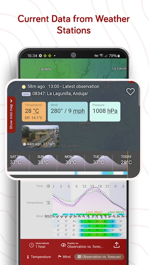 windy天气免费版图3