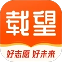 载望志愿正版