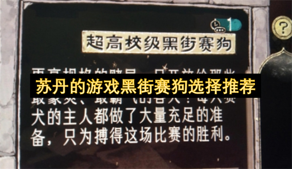 苏丹游戏黑街赛狗的挑选建议