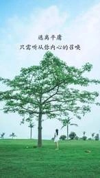 逸民宿图4