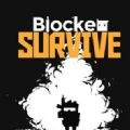 BlockerSurvive