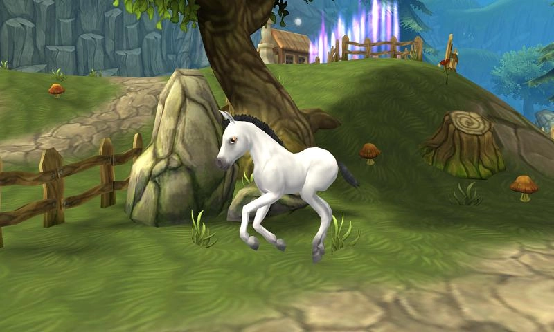 马儿的天堂：我的梦想牧场(2)