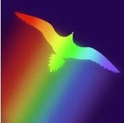 Soar：TreeofLife