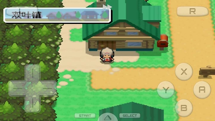 口袋妖怪：白金最新版图5