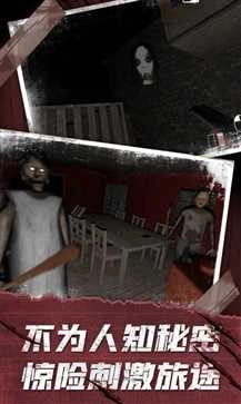 恐怖老奶奶正版(1)