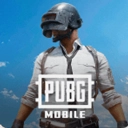 PUBG国际服免费直装版