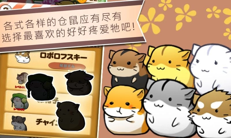 仓鼠的日常正版5