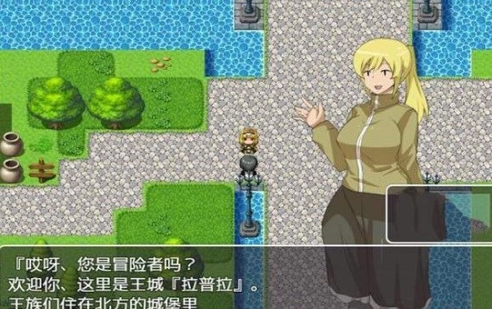 npc无法反抗的世界汉化版(2)