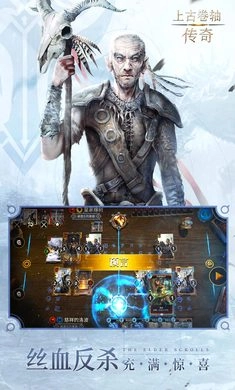 上古卷轴：传奇亚服