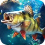 欢乐钓鱼大师免费版