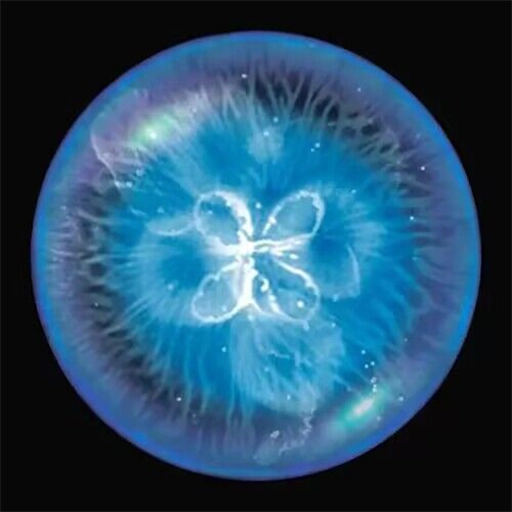 全民星球模拟器手机版