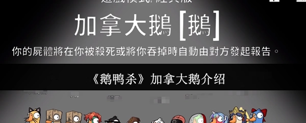关于《鹅鸭杀》里加拿大鹅的介绍