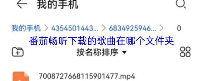 番茄畅听下载的歌曲存放在哪个文件夹里？