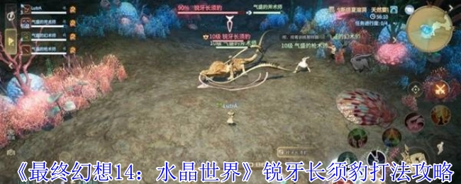 《最终幻想14：水晶世界》中锐牙长须豹的打法攻略