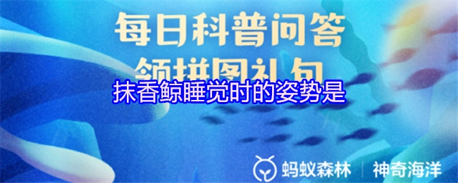 抹香鲸在睡觉时呈现出的姿势是