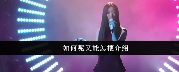 该怎么介绍这个梗呢，又能有什么特别的方式呢