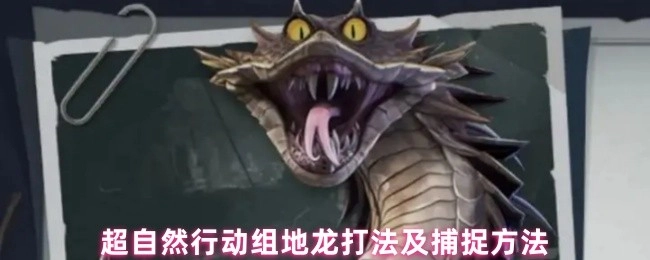 超自然行动组中地龙的打法与捕捉办法