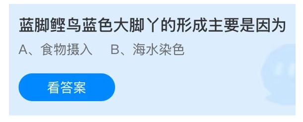 蓝脚鲣鸟那蓝色大脚丫得以形成的主要原因在于