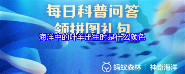 海洋里叶羊出生之际呈现什么颜色？