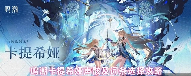 《鸣潮卡提希娅声骸与词条选择攻略解析》
