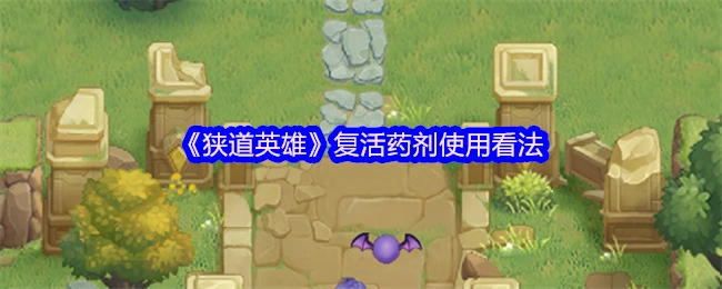 对于《狭道英雄》中复活药剂使用的观点