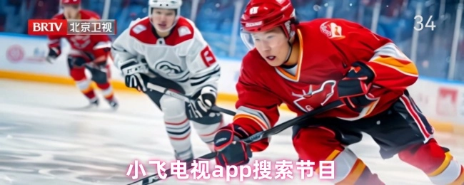 在小飞电视app中搜索节目