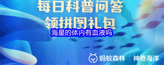 海星的身体内存在血液吗？
