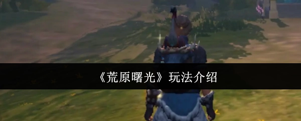 《荒原曙光》游戏玩法讲解