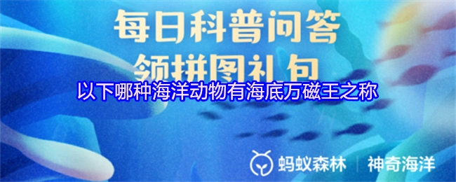 以下哪种海洋生物拥有海底万磁王的称号？