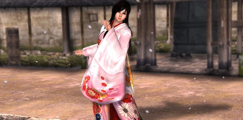 死或生：天堂-图3