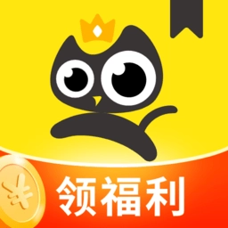 飞猫小说原版