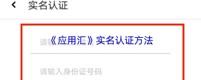 《应用汇》进行实名认证的方式