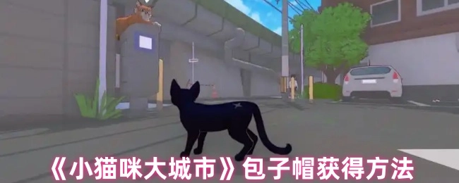 获取《小猫咪大城市》包子帽的方式