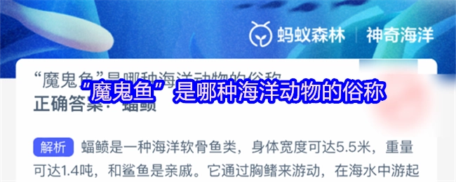 “魔鬼鱼”指的是哪种海洋动物的俗称？