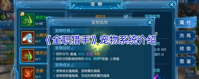 关于《全职猎手》宠物系统的讲解