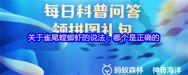 以下关于雀尾螳螂虾的说法中，哪一个是正确的？