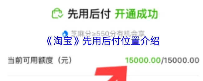 《淘宝》“先用后付”位置的相关介绍