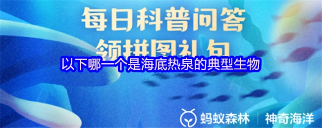 以下哪一种生物是海底热泉的典型代表？